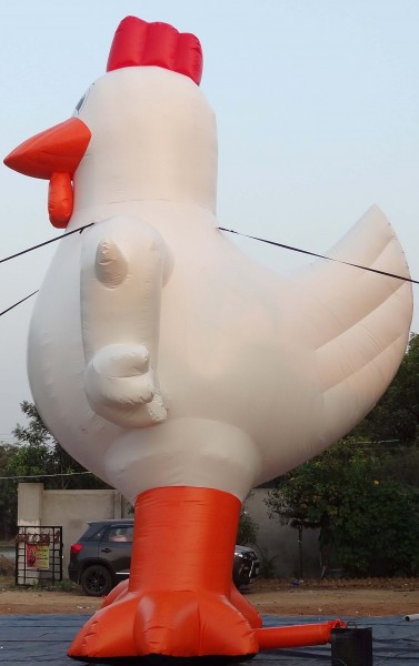 Custom Inflatable Advertising Custom Inflatable Advertising chicken inflatable