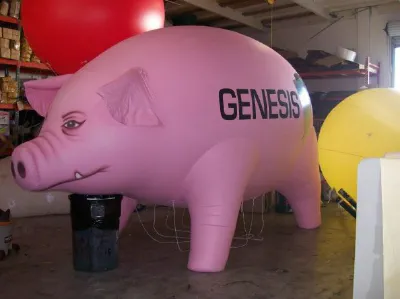 Pink Genesis Custom Inflatables - Custom Inflatables Gallery Image