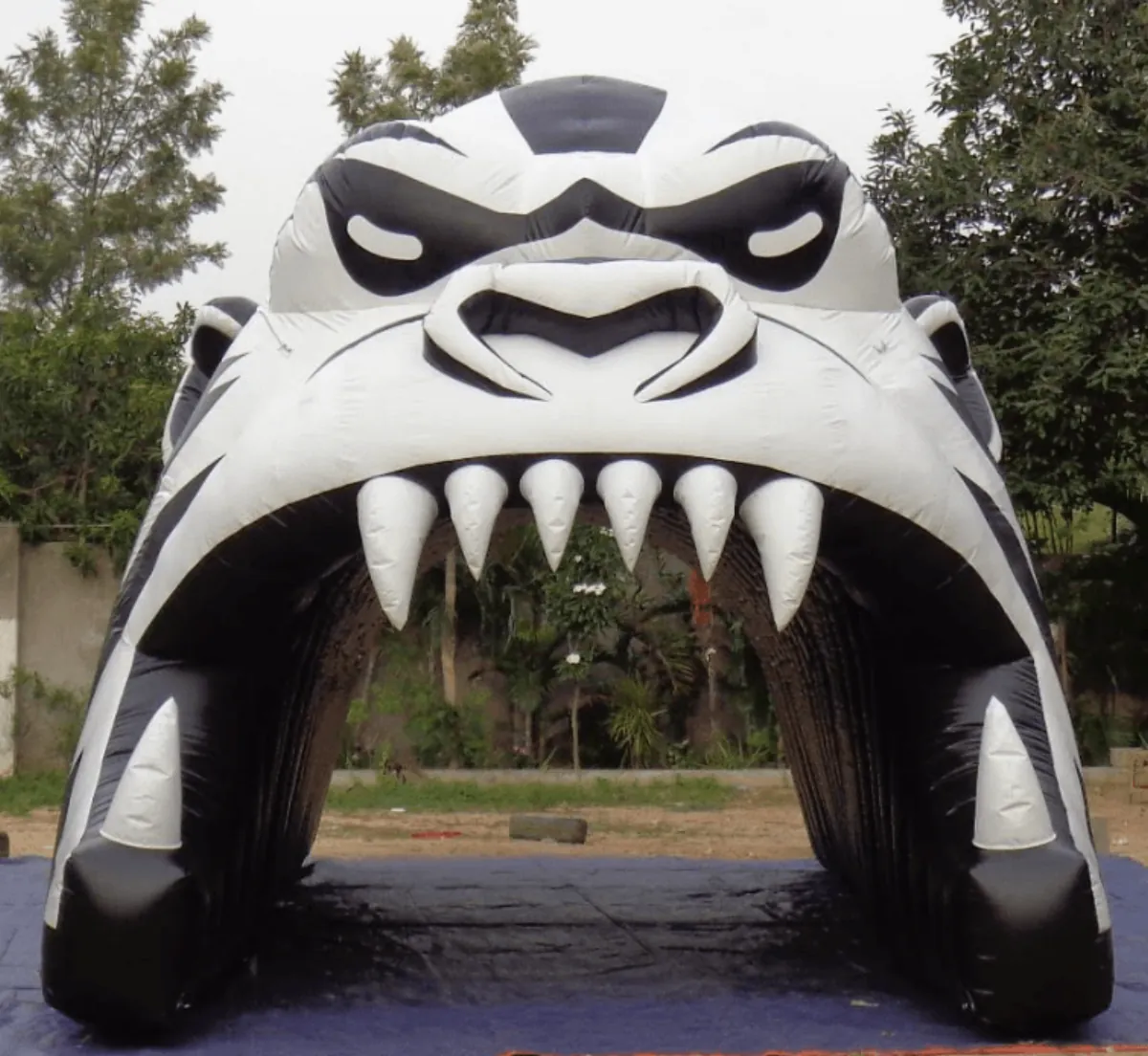 Fb Gorilla 1 - Football Tunnels Gallery Image
