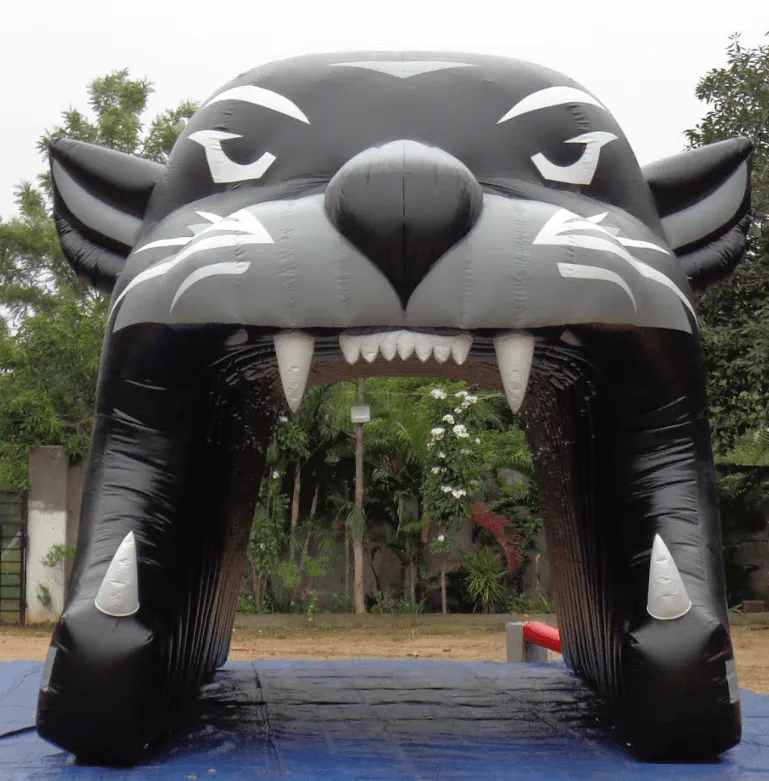 Fb Panthers 1 - Football Tunnels Gallery Image