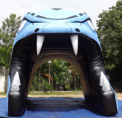 Fb Snakes 1 - Football Tunnels Gallery Image