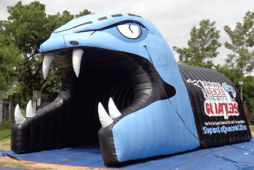 Fb Snakes 2 - Football Tunnels Gallery Image