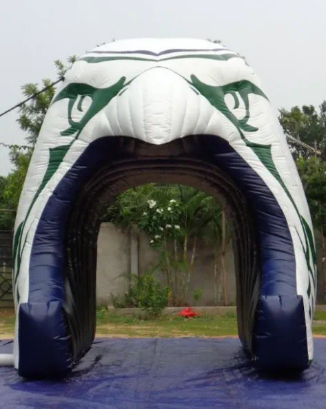 Green White Purple Football Tunnel - Football Tunnels Gallery Image