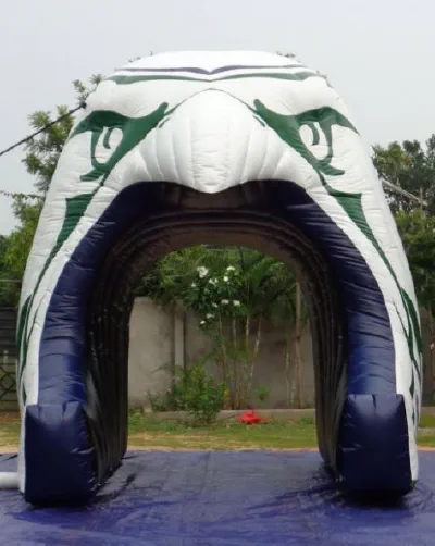 Green White Purple Football Tunnel - Football Tunnels Gallery Image