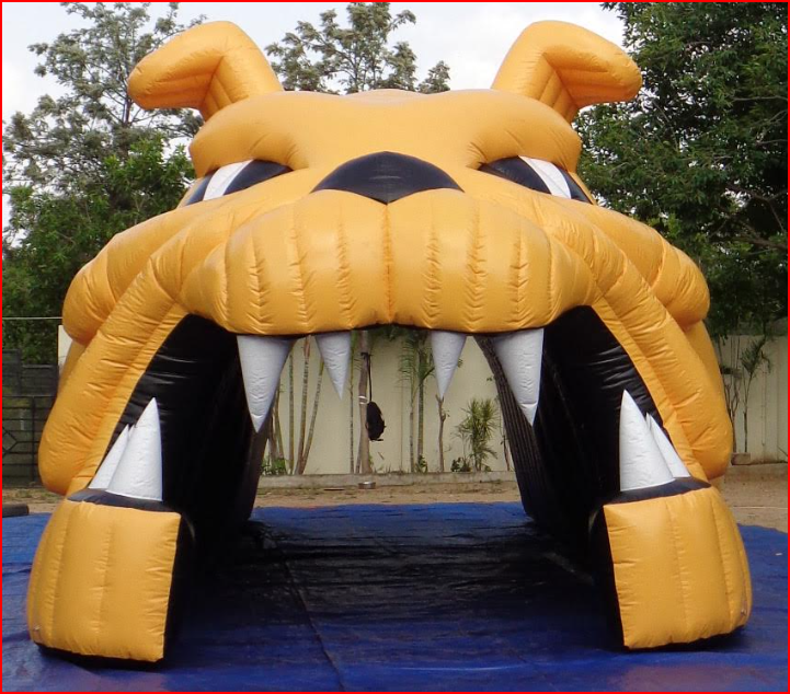 Gold Bulldog Mascot Head Football Tunnel Entrance - Football Tunnels Gallery Image