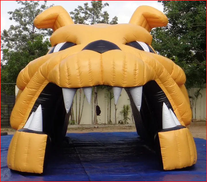 Gold Bulldog Mascot Head Football Tunnel Entrance - Football Tunnels Gallery Image